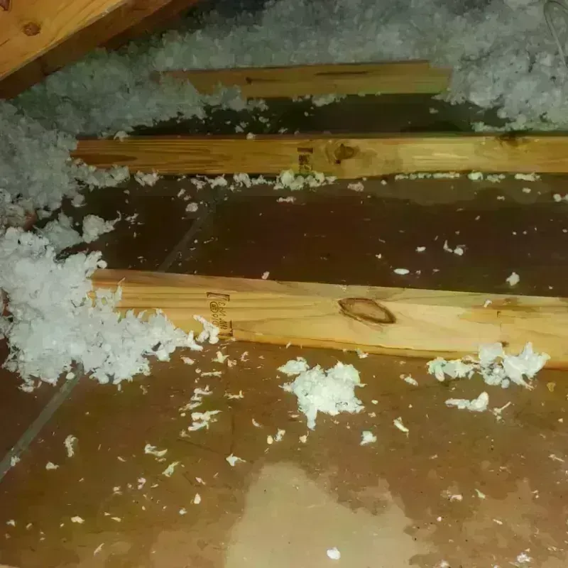 Attic Water Damage in Vandercook Lake, MI