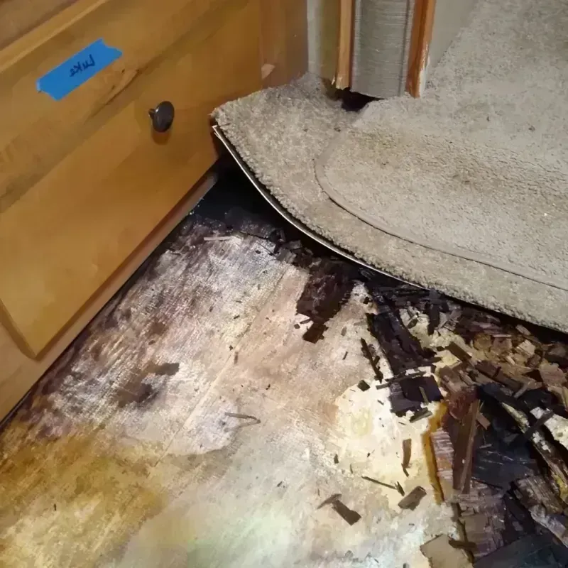 Wood Floor Water Damage in Vandercook Lake, MI